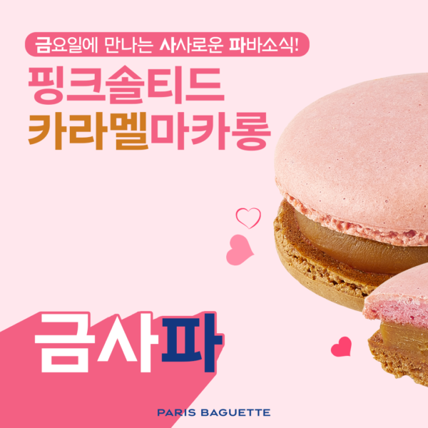 금사파 핑크솔티드 카라멜 마카롱